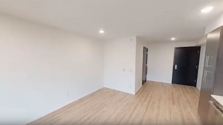 Vitality on 17-th view 2